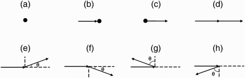 Figure 1. Definition of eight movement patterns of zebrafish: (a) stop (P1), (b) move-and-stop (P2), (c) stop-and-move (P3), (d) move straight (P4), (e) turn leftward with (P5), (f) turn rightward with (P6), (g) turn backward to the left with (P7), and (h) turn backward to the right with (P8).