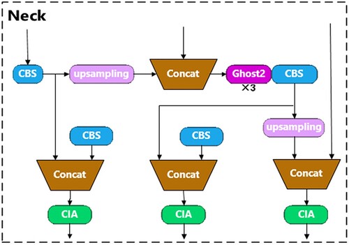 Figure 13. Neck network structure embedded with CIA module.