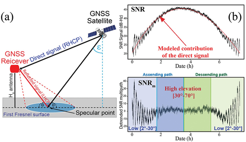 Figure 1. (a) Transmission of EM waves to the single geodetic antenna: direct GNSS signal path with RHCP and the reflected path with LHCP; (b) SNR in dB-Hz of GNSS signals and SNR multipath (SNRm) signals removed the direct contribution of signal (parabolic red line) from the initial SNR profile (Modified from CitationRoussel et al., Citation2016 and Darrozes et al., Citation2016).