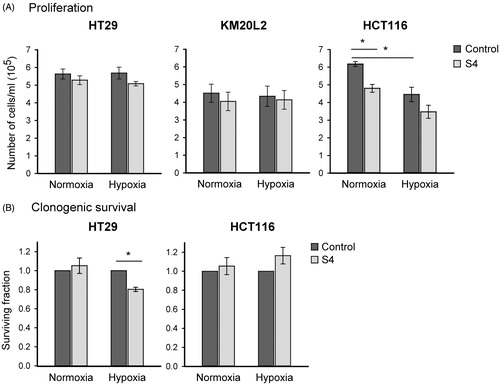 Figure 4. Cell proliferation and clonogenic survival after S4 treatment of HT29, KM20L2 and HCT116 cells with 100 µM S4 under normoxia (21% O2) and hypoxia (0.2% O2). (A) Cell proliferation; bars represent the number of cells/ml after 24-h incubation. (B) Clonogenic survival; bars represent the surviving fraction. The data are illustrated as the mean ± SD of the mean of minimum three independent experiments (*p < 0.05).