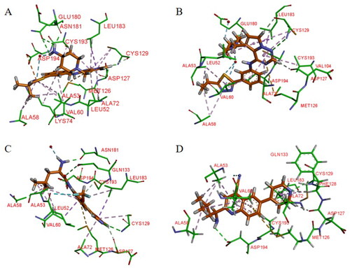 Figure 12. X-ray crystal structure of AAK1 in complex with compound 14 (PDB ID: 7LVH), 16 (PDB ID: 7LVI), 17 (PDB ID: 7RJ8) and 18 (PDB ID: 7RJ7). The compounds are rendered as a stick models with orange carbon atoms. Hydrogen bonds are shown as purple dashed lines.