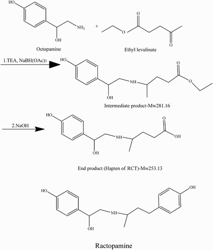 Figure 1. Synthesis of the hapten of RCT.