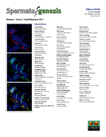 Cover image for Spermatogenesis, Volume 1, Issue 2, 2011