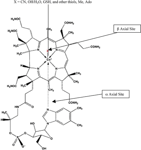 Figure 1 Structure of vitamin B12 and its derivatives.