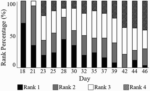 Figure 6. Image rank (1–4) frequency by day. Rank percentage is based on total birds for each respective day.