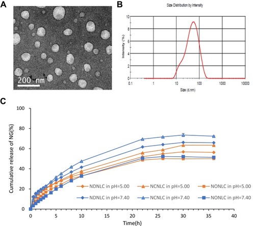 Figure 2 Preparation characterization of NLCs.