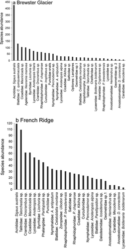 Figure 6. Alpine invertebrate species abundance plots for (a) Brewster Glacier (n = 29) and (b) French Ridge (n = 25). Data are total individual counts per taxon; elevation range was from 1,400 to 2,200 m a.s.l. Both locations generated characteristic curves, with few taxa represented by many individuals and many with few counts. Grasshoppers represent the majority of alpine invertebrate biomass, probably reﬂecting the density of snow tussock (Chionochloa sp.)