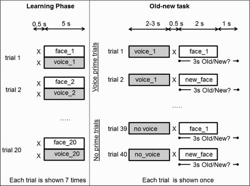 Figure 4. Main aspects of the design of Experiment 3.