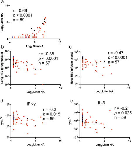 Figure 6. Pearson correlations for the second pregnancy. Correlation coefficients (r), p (two tail) value, and number of litters used (n) or comparison between the NA titers in dams’ serum before delivering the second litter and the mean NA of their litter of the second pregnancy (a); between the mean NA titer of each litter and lung (b) or nose (c) viral titers; or between the mean NA titer of each litter and the mean expression of lung mRNA for IFNγ (d) and IL-6 (e). All correlations were performed with samples of animals challenged at 4 weeks of age. Blue, red, and black symbols represent pairs from litters of unvaccinated, VLP-vaccinated dams, and RSV re-infected dams, respectively.