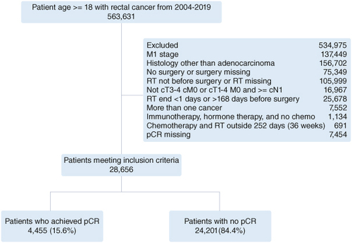 Figure 1. Flow chart of the selection criteria.pCR: Pathological complete response; RT: Radiation therapy.