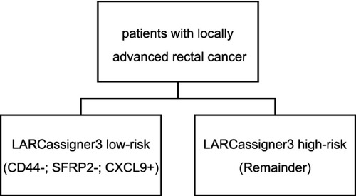 Figure S2 Clinical subsets of patients with locally advanced rectal cancer by LARCassigner-3 classifier. Patients are assigned to the different subgroups on the basis of expression of three genes assessed with real-time RT-PCR.