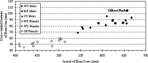 Figure 3 Plot of Gilbert Peak bison skull in relation to male bison skulls from western United States specimens. Data presented in Table 2. WY = Wyoming, MT = Montana, CO = Colorado, and OR = Oregon.