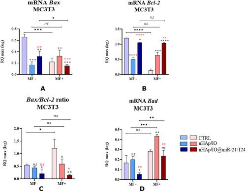 Figure 7 The impact of the nanocomposites alone and in combination with the miR21/124 on the expression on Bax (A), Bcl-2 (B),Bad (D) and ratio Bax/Bcl-2 (C) associated with apoptosis in MC3T3-E1 cell line. Significant differences are indicated as follows (*p<0,005, **p<0,001,***p<0,001, and ****p<0.0001) and non-significant are marked as ns. The black symbols refer to the differences between CTRL and nHAp/IO groups, while red symbols are for nHAp/IO and nHAp/IO@miR-21/124 groups.