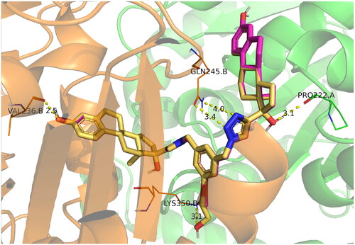 Figure 6. Docking poses of compounds ED3 (magenta) and ED5 (yellow) within the tubulin structure 4O2B (α chain is green, β – orange).