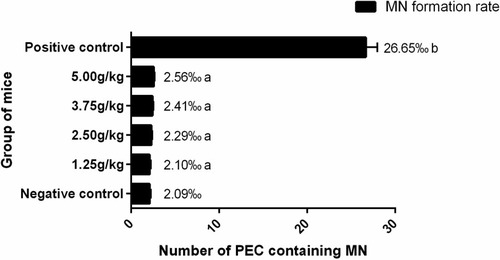 Figure 7 Genotoxicity of Fe3O4 MNPs carrier.Notes: n = 10. aP > 0.05, MN formation rates of Fe3O4 MNPs groups compared with negative control; bP < 0.05, MN formation rates between Fe3O4 MNPs groups and positive control.Abbreviations: MN, micronucleus; PEC, polychromatic erythrocytes, MNPs, magnetic nanoparticles.