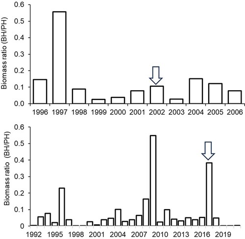 Figure 12. Average summer season biomass ratios between big zooplankton herbivores and total phytoplankton (BH/PH) during 1996–2006 in Kirkkojärvi (top) and 2000–2021 in Littoistenjärvi (bottom). Carbon biomass of zooplankton converted to wet mass as in Fig. 10. Block arrows indicate the date of aluminum treatment.