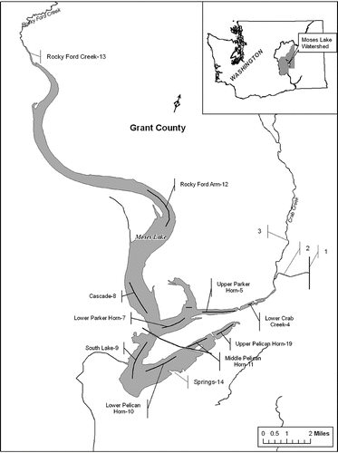 Figure 1 Moses Lake showing the source of Columbia River dilution water from the East Low Canal (1) entering via Rocky Coulee Wasteway (2) into Crab Creek and then into Parker Horn. Water sampling sites are shown by number and solid lines for transects.