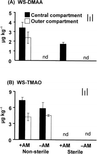 Figure 4  Amounts of (A) water soluble dimethylarsinic acid (WS-DMAA) and (B) water soluble trimethylarsine oxide (WS-TMAO) in the soil collected from different compartments of the rhizobag. Bars on the top right indicate the least significant differences (LSD) for comparison between treatments (left), between compartments (middle) and between any pair of data (right) at P < 0.05. +AM, plus arbuscular mycorrhizal fungus inoculation; –AM, without arbuscular mycorrhizal fungus inoculation.