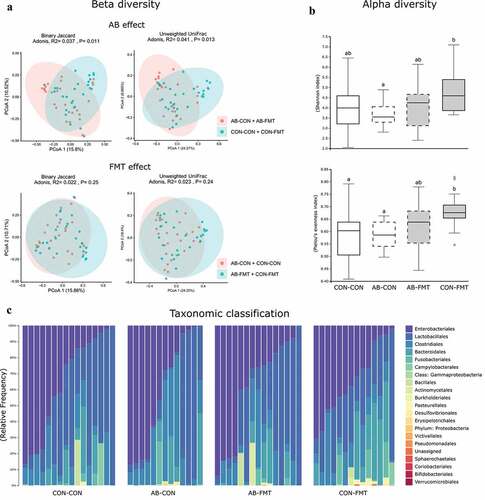 Figure 2. Minor effects of enteral broad-spectrum antibiotics and fecal microbiota transplantation on gut microbiota composition. (a). Dissimilarity plots based on 16S rRNA gene amplicon sequencing data, visualizing differences in beta diversity of the colonic microbiota after AB (upper) and FMT (lower) treatment using Jaccard (left) and Unweighted UniFrac distances (right). (b). Shannon and Pielou’s evenness indices as measures of alpha diversity (data not sharing the same superscript letter are significantly different at p < .05). (c). Relative colonic bacterial abundance presented as stacked bar graphs summarized at order level of taxonomic classification. n = 13–16 per group for all analyses