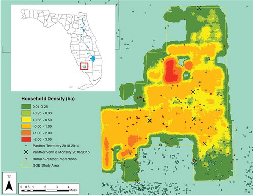 Figure 2. Golden Gate Estates: Household density, human–panther interactions, panther mortalities from vehicle collisions (2010–2015), and panther telemetry data (2010–2014).