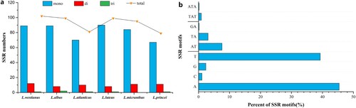 Figure 1. Analysis of simple sequence repeats (SSRs) in the chloroplast genome of six Lupinus species. (a) The types and numbers of SSRs identified in six Lupinus species; (b) The frequency of SSRs motifs in six Lupinus species.