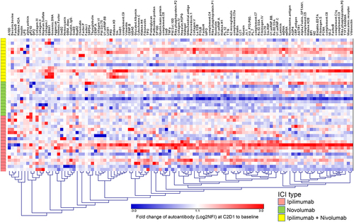 Figure 2. Post-treatment changes in 112 autoantibodies according to ICI type. Fold change of log2NFI(C2D1/BL) is shown. Within the heatmap, ipilimumab is shown in top rows, nivolumab in middle rows, and combination ipilimumab plus nivolumab in bottom rows.