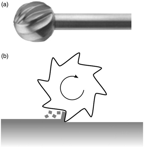 Figure 6. A cutting burr (a) and a cross-sectional diagram showing how each flute of the burr engages the bone in orthogonal cutting (b).