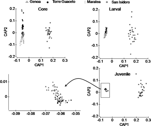 Figure 4. CAP analysis on multi-elemental fingerprint in each otolith region considered. Each symbol represents an ablation. The arrow indicates a zoom on the cloud of symbols for the juvenile region panel.