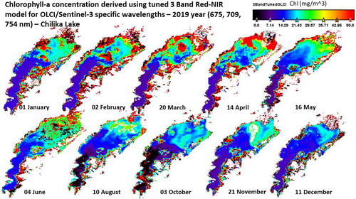 Figure 11. Application of OLCI wavelengths tuned 3-band red-NIR algorithm to 10 OLCI/Sentinel-3 scenes in 2019 to estimate Chlorophyll-a concentration.