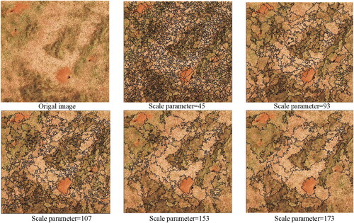 Figure 4. Segmentation results of UAV imagery under different scale parameters.
