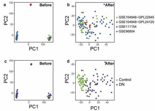 Figure 1. Samples PCA clustering plots for before and after calibration. (a, b) PCA Figures display inter-batch differences removed before and after correcting for GSE96804, GSE111154, GSE104948-GPL22945, and GSE104948-GPL24120, respectively. (c, d) Figures show batches differences of PCA cluster for DN and control samples before and after correction. PCA, principal components analysis. DN, diabetic nephropathy