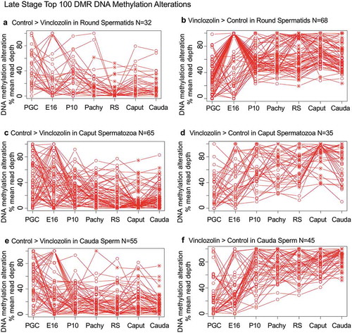 Figure 7. DMR developmental timelines. Top 100 most statistically significant DMR developmental alterations (round spermatids, caput, cauda). The DMRs are separated into two groups based on whether scaled RPKM read depth is elevated in the control or in the exposure. The vinclozolin percent (%) scaled RPKM read depth developmental timelines are presented. (a,b) Top 100 DMRs in the round spermatids comparison. (c,d) Top 100 DMRs in the caput comparison. (e,f) Top 100 DMRs in the cauda comparison.