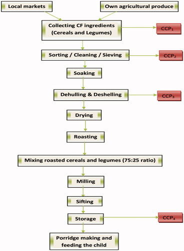 Figure 2. Flow diagram for the preparation of community-based CFs by implementing HACCP based SOP (CCP: critical control point).