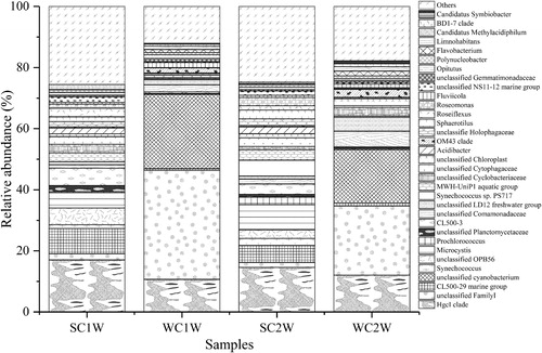 Figure 4. Relative abundance of bacterial communities at the genus level in the water samples of Lake Chaohu.