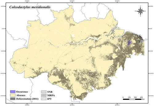 Figure 87. Occurrence area and record of Coleodactylus meridionalis in the Brazilian Amazonia, showing the overlap with protected and deforested areas.