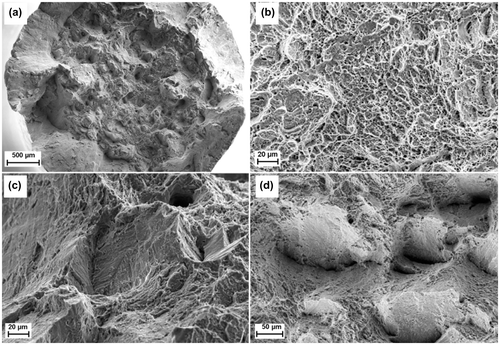 Figure 7. Fracture surfaces after tensile tests of as-built SLM Ti-6Al-4V specimens: (a) cup-and-cone, (b) dimples, (c) and (d) quasi-cleavage facets (from [Citation35]).