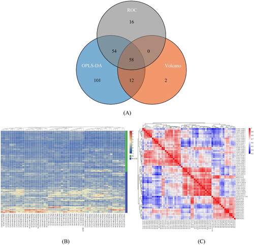 Figure 3. (A) Differential lipid Venn diagram of different models; (B) Lipid clustering heat maps of different serum samples between the two groups; (C) Heat map of different lipid correlation matrix in serum samples of the two groups.