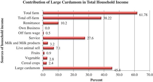 Figure 3. Different sources of household income in study site.