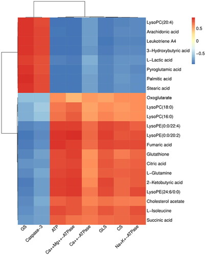 Figure 9. Pearson correlation analysis between potential biomarkers and biochemical efficacy indicators. Red indicates positive correlations, while blue indicates negative.