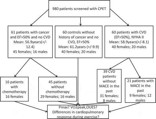 Figure 1. Flowchart of study inclusion, CPET (cardiopulmonary exercise testing). CVD: Cardiovascular disease. EF: Ejection fraction. Mean age is reported, standard deviation in parentheses. MACE: Major adverse cardiovascular event. Pmax: maximal power achieved in cardiopulmonary exercise testing (CPET) [W]. VO2peak: peak oxygen uptake at maximal effort [l]. OUES: Oxygen uptake efficiency slope.