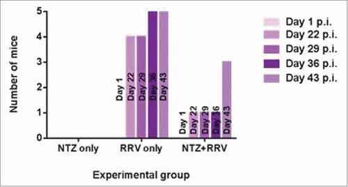 Figure 1. Frequency of mice positive for rotavirus-specific serum IgA per experimental group over complete study duration. Four-week-old, female C57BL/6 mice were administered one of the following: nitazoxanide (NTZ only); Rhesus rotavirus (RRV only); or both the nitazoxanide regime and Rhesus rotavirus (NTZ+RRV). Serum was collected at various timepoints and analyzed for the presence of rotavirus-specific serum IgA. Colored bars correspond to the number of mice positive for rotavirus-specific serum IgA within each experimental group on days 1, 22, 29, 36 or 43 post-immunisation (p.i.). (Refer to Appendix for full description of the Methods employed.)