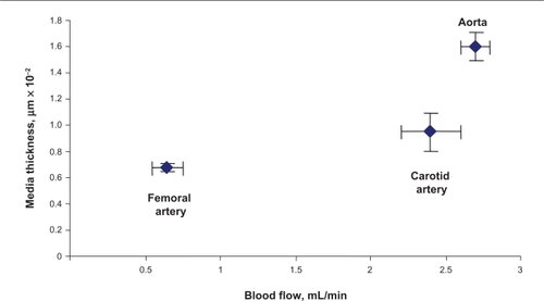 Figure 2C Correlation between medial thickness and blood flow. Aorta has highest medial thickness and highest blood flow compared with the other two vessels.