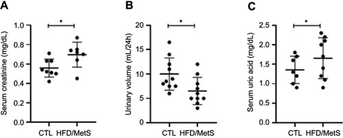 Figure 2 Renal function parameters in control (CTL) and HFD-fed rats (HFD/MetS) for 20 weeks. Serum creatinine (A), urinary volume (B), and serum uric acid (C). *P<0.05 vs control.