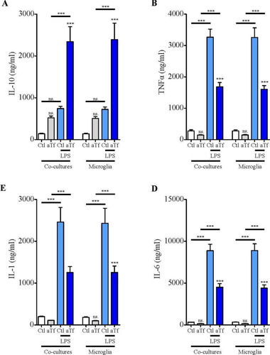 Figure 9 Tf induces anti-inflammatory responses in co-cultures of N2a and microglial cells. ELISA of A, IL-10, B, TNF-α, C, IL-1β, and D, and IL-6 release to the culture medium in co-cultures in basal state (white and grey bars) and in the presence of LPS (10 ng/mL, blue bars) after 2 days of Tf treatment (100 µg/mL). Bars in A–D represent the mean  ±  SEM for three independent experiments using one-way ANOVA followed by Dunnett’s comparison test. ***p < 0.001, **p < 0.01, *p < 0.05, ns = non-significant. Symbols above bars indicate significance compared to corresponding control. Note. aTf = human apoTransferrin; Ctl = control; LPS = lipopolysaccharide.