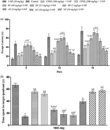 Figure 6. Effect of CPEE and its various fractions on memory functions of 3-NP treated rats on Morris water maze. (A) Time taken (s) by rats to reach platform (transfer latency); (B) time spent (s) in target quadrant. Results are expressed as mean ± SD (n = 8); ap < 0.05 vs control; bp < 0.05 vs 3-NP; cp < 0.05 vs CPEE 100 mg/kg; dp < 0.05 vs AF (9 mg/kg); ep < 0.05 vs AF (18 mg/kg); fp < 0.05 vs AF (36 mg/kg). Results are compared using two way analysis of variance followed by Bonferroni’s post hoc test. CPEE: ethanol extract of Celastrus paniculatus seeds; PF: petroleum ether fraction; EF: ethyl acetate fraction; BF: n-butanol fraction; AF: aqueous fraction.