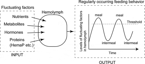 Figure 4. Schematic diagram of feeding regulation via hemolymph components. The levels of factors in the hemolymph fluctuate according to the nutrient and feeding states possibly via endocrine control. Once the levels of those compounds reach at some threshold levels, feeding behavior will occur.