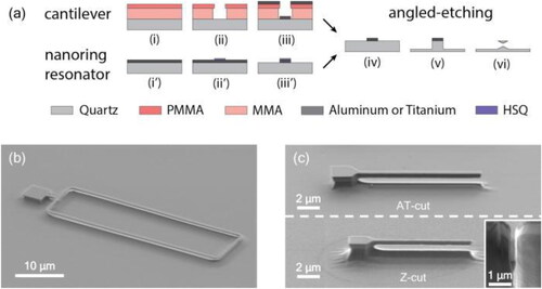 Figure 8. (a) Schematic concept of angled etching technique for SCD MEMS. Al and Ti were used to define the cantilevers and ring resonators, respectively. Next, the angled-etching step was performed to fabricate (b) a double-ended tuning fork and (c) cantilevers, made of quartz with two different crystal cuts. The inset shows the cross-section of the cantilever made of Z-cut quartz seen at a tilt angle of 52. The cantilever was cut with a focused ion beam to reveal the shape of the triangular cross-section [Citation102]. Copyright © 2017, American Institute of Physics.