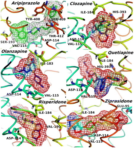 Figure 3. 3D structures of the compounds and their surfaces at the binding site of D2R. The amino acids interacting with the drugs are shown.