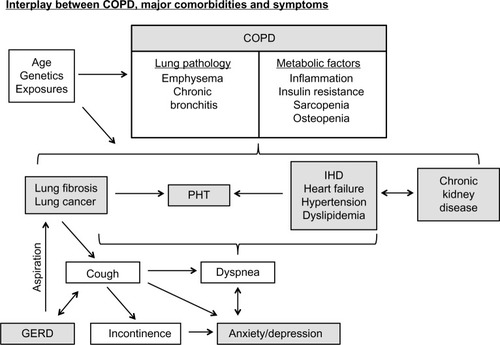 Figure 2 Interplay between COPD, major comorbidities, and symptoms.