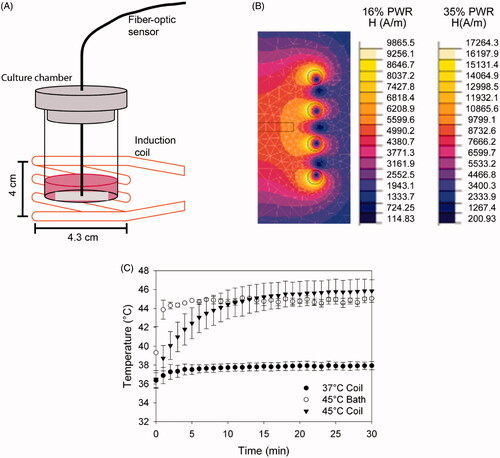 Figure 1. Heating of aminosilane-coated iron oxide nanoparticles by an alternating electromagnetic field. (A) Schematic of the induction coil system with cell culture chamber and fibre-optic probe for real-time temperature recording. (B) Flux 2D simulation of the magnetic field generated by the induction coil with 79.59A (16% PWR) and 139.2A (35% PWR) applied current (to produce 37 °C and 45 °C, respectively). The cell culture chamber is placed in the area of the coil that generates the most uniform magnetic field as demarcated by the black contour rectangle. (C) Example of sample temperature reading as a function of time. Each point is the average of three samples and the error bars indicate one standard deviation. For comparison, temperature data for water bath heating (45.5 °C bath) is also included.
